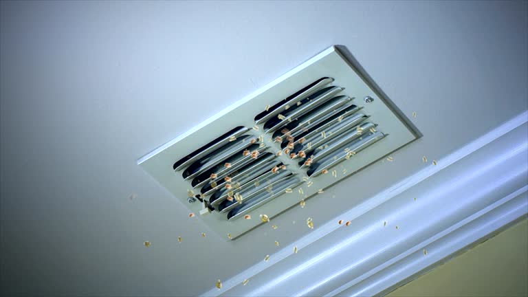 Best Air Duct Cleaning Near Me  in Bullard, TX